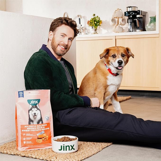 Jinx Premium Grain-Free Dry Dog Food, for All Lifestages - Grass-Fed Lamb, Sweet Potato & Carrot Dog Food with Superfoods for Immune Support & Probiotics for Digestive Support - No Fillers - 4lb
