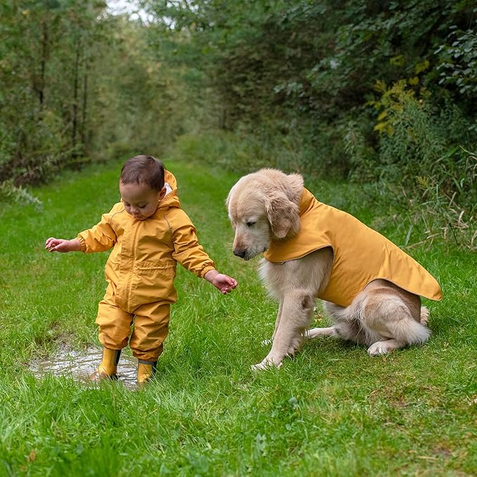 JAN & JUL Dog Rain Jacket (Yellow, Size: M)