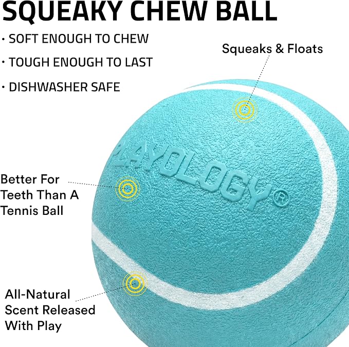 Playology Squeaky Chew Ball Dog Toy - Medium, Peanut Butter Scent