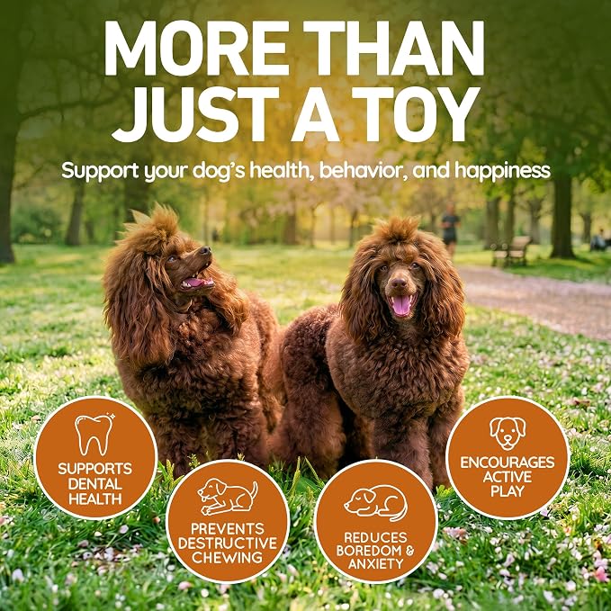 Wildfang® Rubber Dog Toys for Aggressive Chewers, Robin - Natural Rubber Teething Rings for Dogs, Supports Dental Health, Teething, Outdoor & Indoor Play Dog Toy for All Breeds