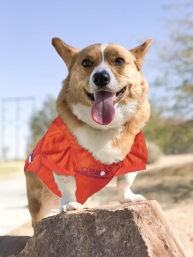 Pets First NCAA College Clemson Tigers Mesh Jersey for DOGS & CATS, X-Large. Licensed Dog Jersey with your Favorite Football/Basketball College Team