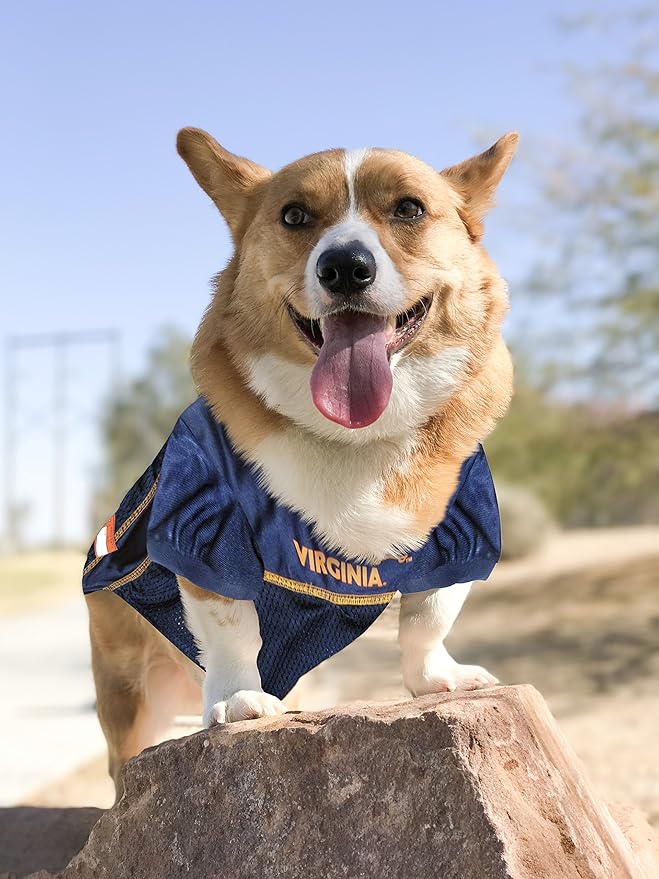 Pets First NCAA College Virginia Cavaliers Mesh Jersey for DOGS & CATS, X-Small.Licensed Dog Jersey with your Favorite Football/Basketball College Team