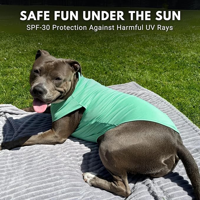 Spark Paws Sunblock Dog T-Shirt, SPF30 Protection, Lightweight Breathable Quick Dry for Dogs with Sensitive Skin - Peach & Mint (Set of 2) - XL