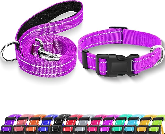 Reflective Dog Collar with Safety Locking Buckle, Adjustable Soft Breathable Nylon Collars for Small, Medium and Large Dogs(Collar+Leash XS Width 5/8" Rosered)