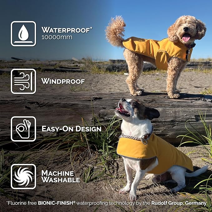 JAN & JUL Dog Rain Jacket (Yellow, Size: M)