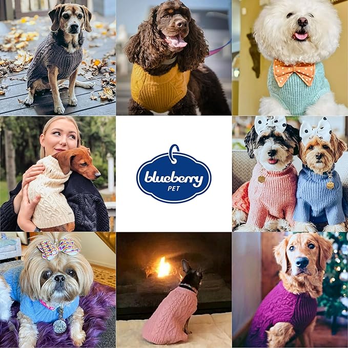 Blueberry Pet Classic Fuzzy Textured Knit Pullover Crew-Neck Dog Sweater in Mustard Yellow, Back Length 16", Pack of 1 Clothes for Dogs