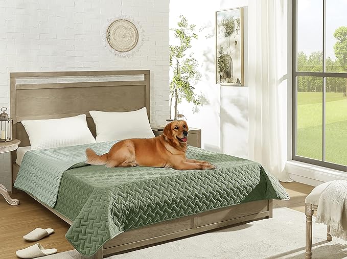 gogobunny 100% Double Sided Waterproof Dog Blanket Soft Pet Bed Cover Reversible Protect Furniture Couch Sofa Car for Puppy Cat Kids (Dark Green/Light Green, 30x70 Inch (Pack of 1))