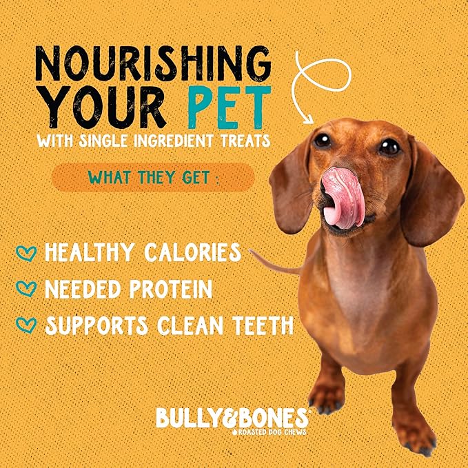 Bully & Bones 5 to 7 Inch Odor Free Bully Stick Springs (8 Pack) for Dogs. Healthy Single-Ingredient Beef chew Treats Crafted to Stimulate Your Dog’s Taste Buds. 5” to 7” Bully Stick Springs.