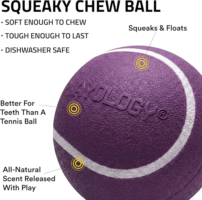 Playology Squeaky Chew Ball Dog Toy - Small, Bacon Scent, 3-Pack