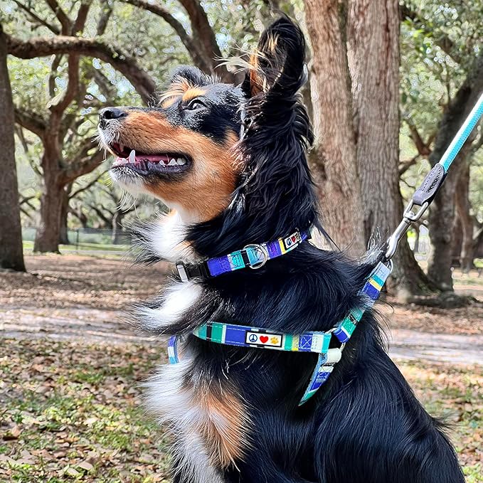 Pawtitas Personalized Dog & Puppy Harness Small Blue/Teal/Yellow Custom ID Tag Adjustable No Pull Vest