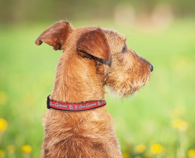 MLB St. Louis Cardinals Licensed PET COLLAR- Heavy-Duty, Strong, and Durable Dog Collar. Available in 29 Baseball Teams and 4 Sizes