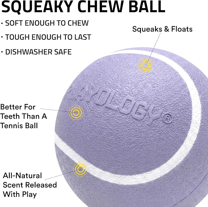 Playology Squeaky Chew Ball Dog Toy - Small, Lamb Scent, 3-Pack