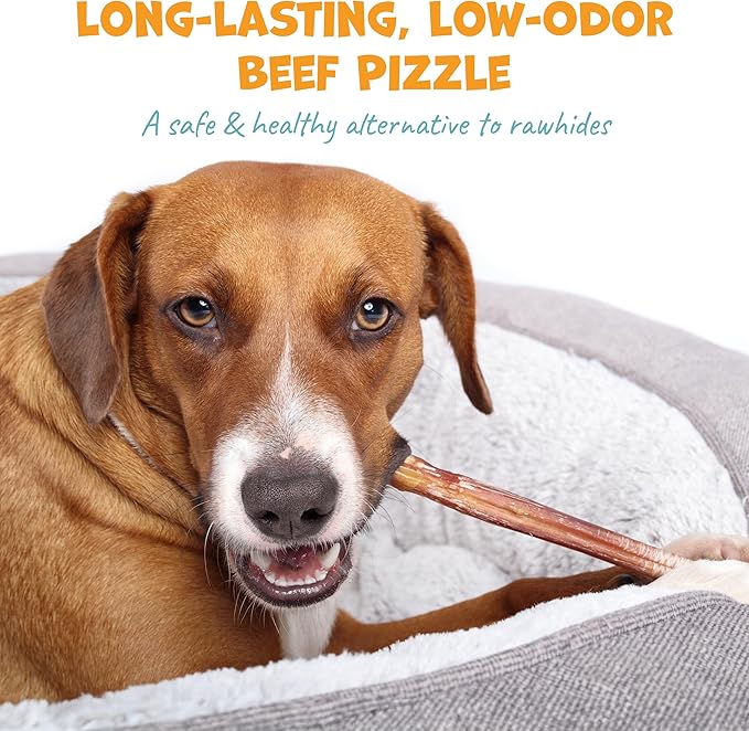 Standard Beef Bully Sticks for Large Dogs - Long Lasting Dog Chews for Aggressive Chewers - No Hide Dog Chews for Large Dogs - 12" (8ct)