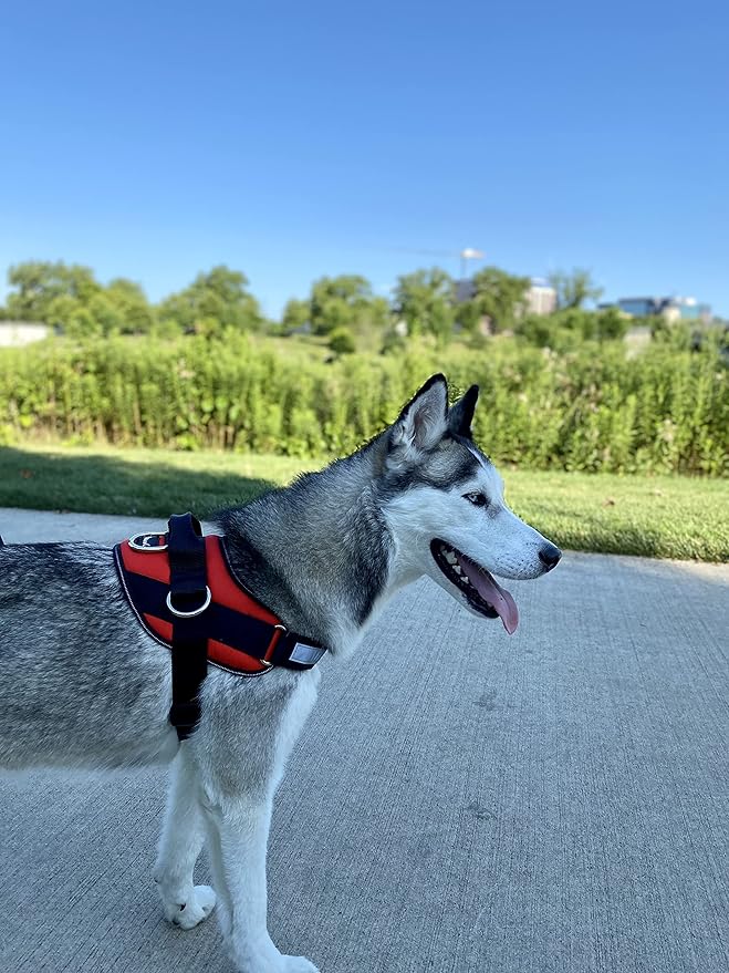 ShawnCo Essential Dog Harness, No-Pull Pet Vest with 3 Leash Clips, No Choke, Reflective, Adjustable and Padded, for Easy Walking and Training for Small, Medium and Large Dogs (Mustang Red, L)