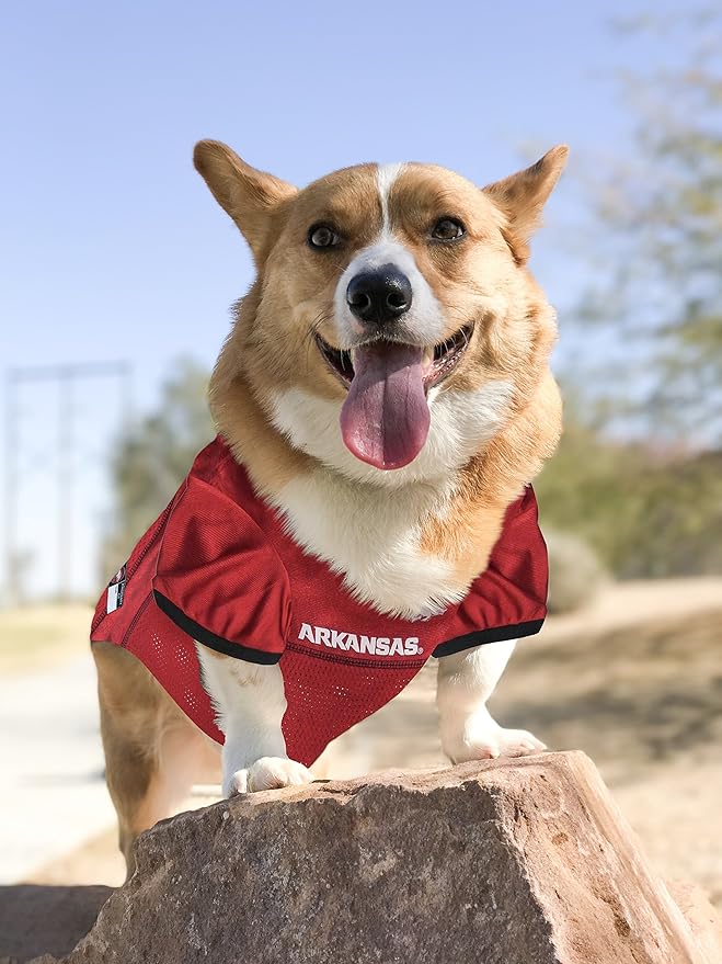 Pets First NCAA College Arkansas Razorbacks Mesh Jersey for DOGS & CATS, X-Small.Licensed Dog Jersey with your Favorite Football/Basketball College Team