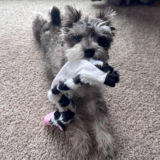 SPOT Skinneeez Crinklers Cow - Stuffing-Free Dog Toy with Crinkle & Squeaker Sounds, Durable for Moderate Chewers, Tug Toy for Small Dogs & Puppies, 14in