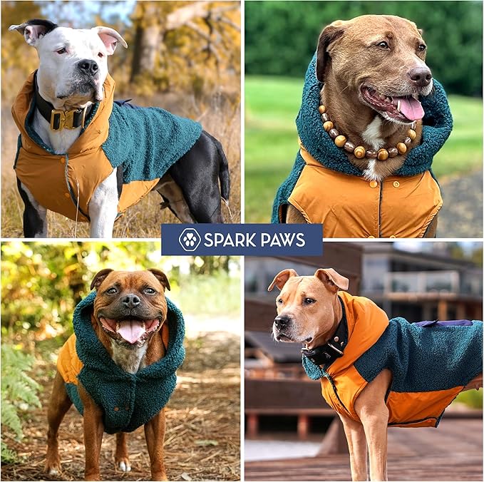 Spark Paws Reversible Fleece Dog Jacket, Hooded Sweater Vest, Warm Coat for Winter - Suitable for Small Medium Large XL XXL Dogs - Orange and Green - L
