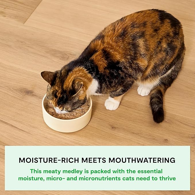 Open Farm Rustic Blend Wet Cat Food, Complete & Balanced Medley with Human-Grade Ingredients, Humanely-Raised Meat, Non-GMO Veggies & Bone Broth, Wild-Caught Salmon Recipe, 5.5oz Packs (Case of 12)