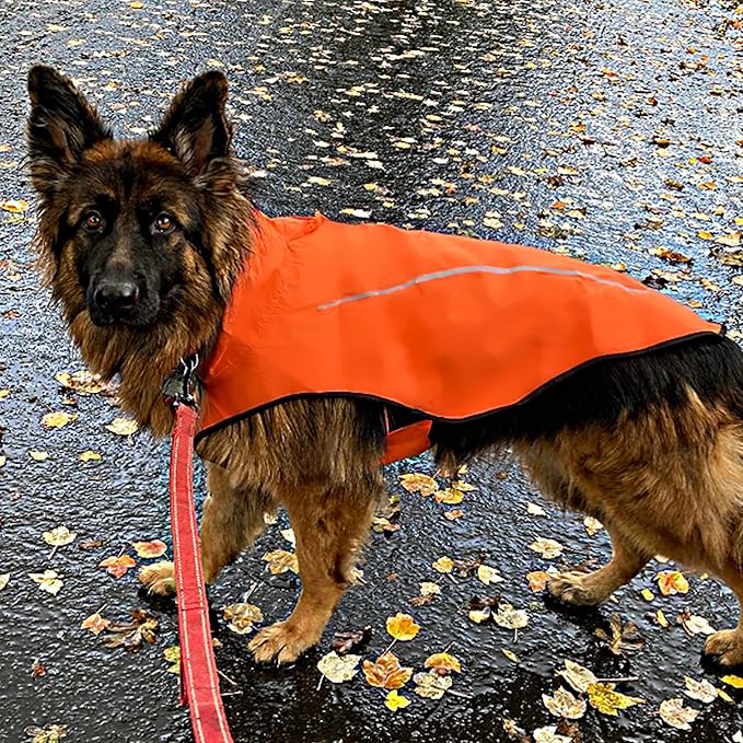 Mile High Life Dog Raincoat, Adjustable Waterproof Reflective Rain Jacket for Small Medium Large Dogs, Lightweight Breathable Pet Rain Coat with Leash Hole(Orange,M Chest 26-32")