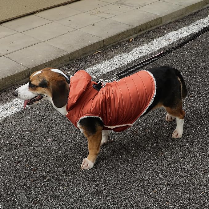 Fleece Lining Dog Hoodie with Harness Built in,Extra Warm Medium Dog Jacket in Winter Doggie Coats with Drawstring Hooded,Orange L