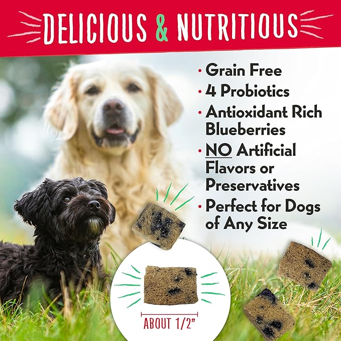 Charlee Bear Grain Free Meaty Bites Freeze Dried Dog Treats, Chicken and Blueberries, 2.25 Ounce Resealable Bag, Training Treats or Meal Topper Dogs, High Protein Dog Snacks, Made in USA