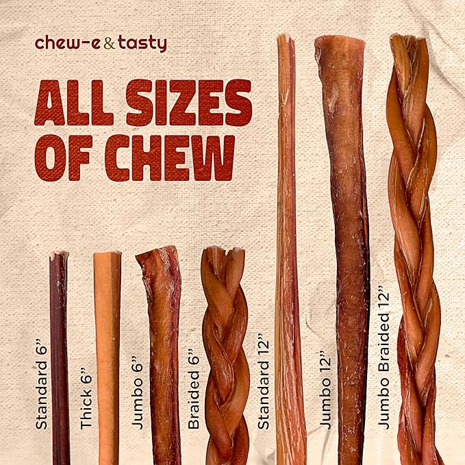 chew-e&tasty Premium Grade 6" Jumbo Bully Sticks (Pack of 20) - All Natural Free-Range Odor Free High Protein Beef Dental Dog Chews Safest Long Lasting Pizzle Chews to Keep Your Dog Busy