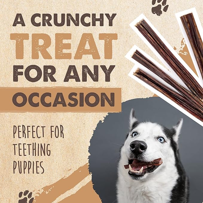 Mighty Paw - Beef Gullet Sticks for Dogs (6 Inch - 30 Pack) | Premium Beef Esophagus Treats. Gullet Sticks, Ideal for Large and Small Breeds Teething and Light Chewing. Rawhide Free, Bulk Dog Chews