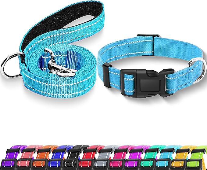 Reflective Dog Collar with Safety Locking Buckle, Adjustable Soft Breathable Nylon Collars for Small, Medium and Large Dogs(Collar+Leash S Width 5/8" Sky Blue)