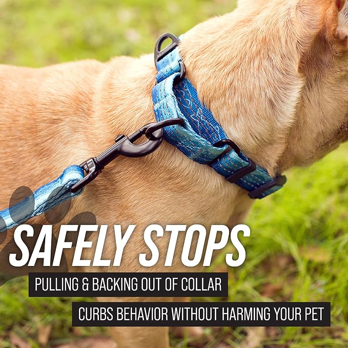 Leash Boss Martingale Collar for Dogs | Reflective Nylon Dog Collar for Large Dogs, Medium and Small Dogs | No Pull Pet Training Collar | Quick Release Buckle, Adjustable Pet Collar