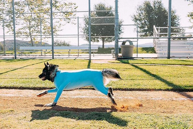 Shed Defender Sport Dog Onesie for Dog Shedding, Seen on Shark Tank, Lightweight Breathable, Bodysuit for Dogs, Pet Jumpsuit, Dog Body Suit, Shed Shirt, Full Body Shed Suit, Hot Spots, Vet Approved