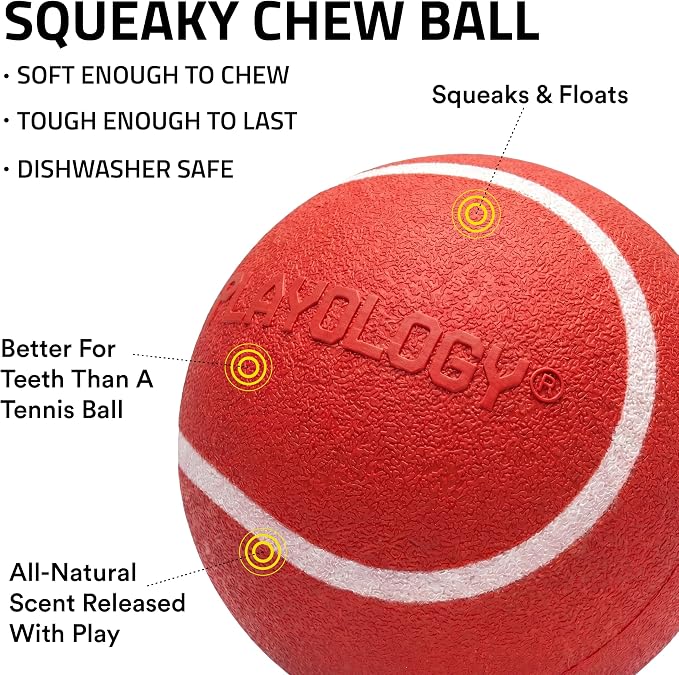 Playology Squeaky Chew Ball Dog Toy - Medium, Beef Scent