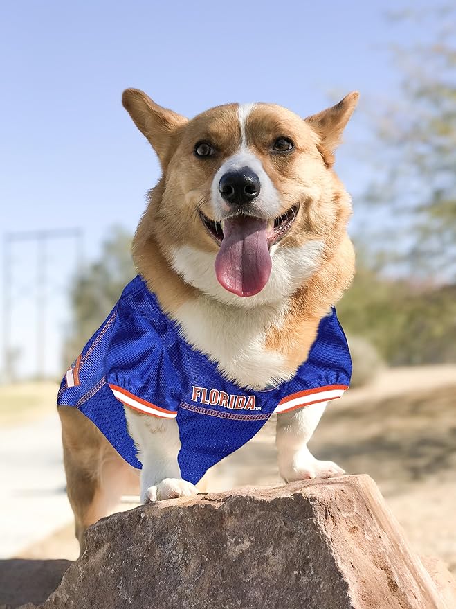 Pets First Mesh Jersey for Dogs & Cats, Large. Licensed Big Dog Jersey with Your Favorite Football/Basketball College Team (Pack of 2)