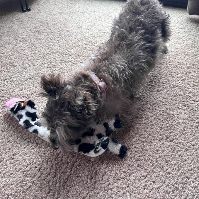 SPOT Skinneeez Crinklers Cow - Stuffing-Free Dog Toy with Crinkle & Squeaker Sounds, Durable for Moderate Chewers, Tug Toy for Small Dogs & Puppies, 14in