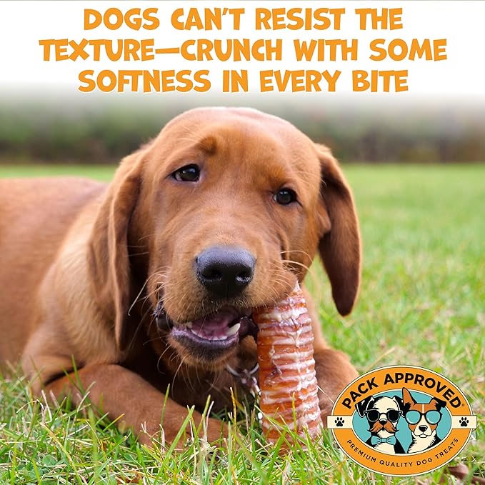 Beef Trachea - Dehydrated Beef Dog Treats Made in USA - Single Ingredient Treat w/Chondroitin & Glucosamine - Dog Joint Health for Small to Medium Breeds - 5-6" (4ct)