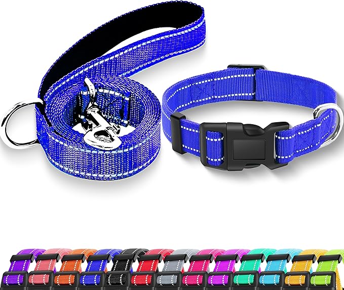Reflective Dog Collar with Safety Locking Buckle, Adjustable Soft Breathable Nylon Collars for Small, Medium and Large Dogs(Collar+Leash S Width 5/8" Navy Blue)