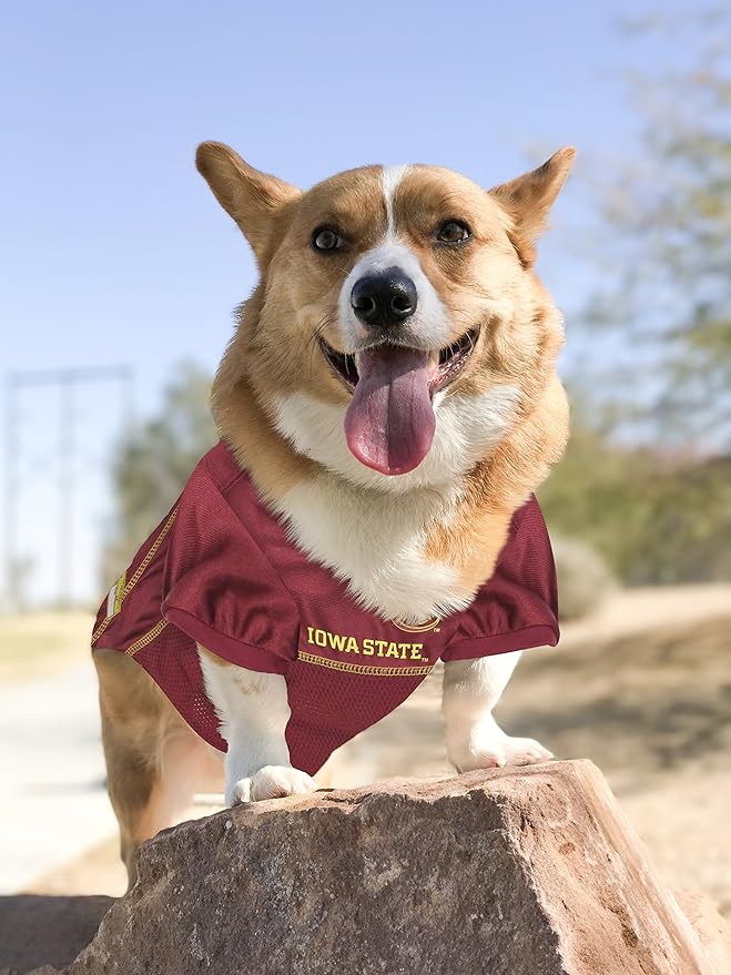 Pets First NCAA College Iowa State Cyclones Mesh Jersey for DOGS & CATS, X-Large. Licensed Dog Jersey with your Favorite Football/Basketball College Team