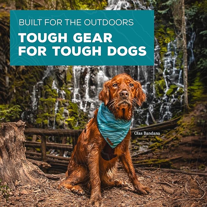 Wilderdog Dog Bandana with Lightweight Quick Drying Poly-Blend Mesh Material in Gone Fishing