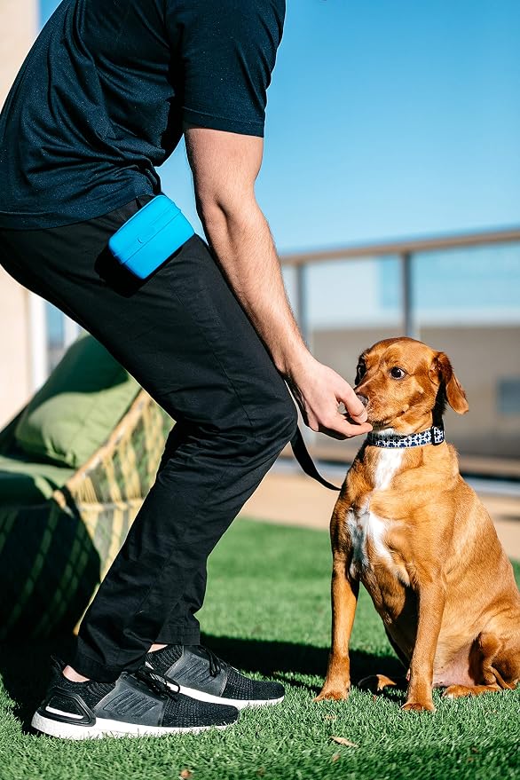 Dexas Pets Pooch Pouch Flexible Dog Treat/Training Treat Clip Pouch, Pro Blue (Pack of 2)