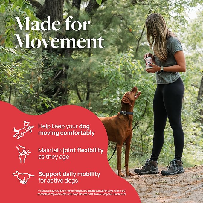 Veterinary Formula Smart Vitality Hip & Joint Supplement for Dogs with Glucosamine – Dog Joint Support, Dog Supplements for Mobility & Flexibility, 60ct
