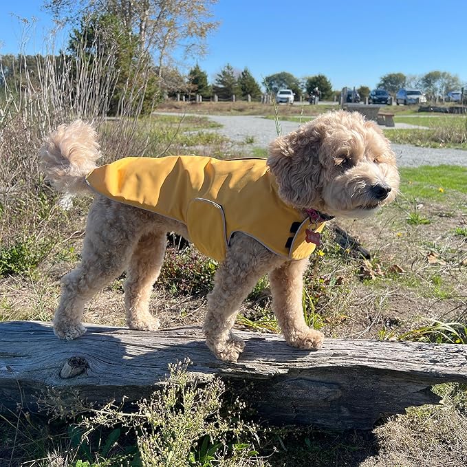 JAN & JUL Dog Rain Jacket (Yellow, Size: XL)