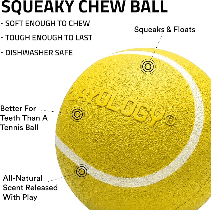 Playology Squeaky Chew Ball Dog Toy - Medium, Chicken Scent, 2-Pack