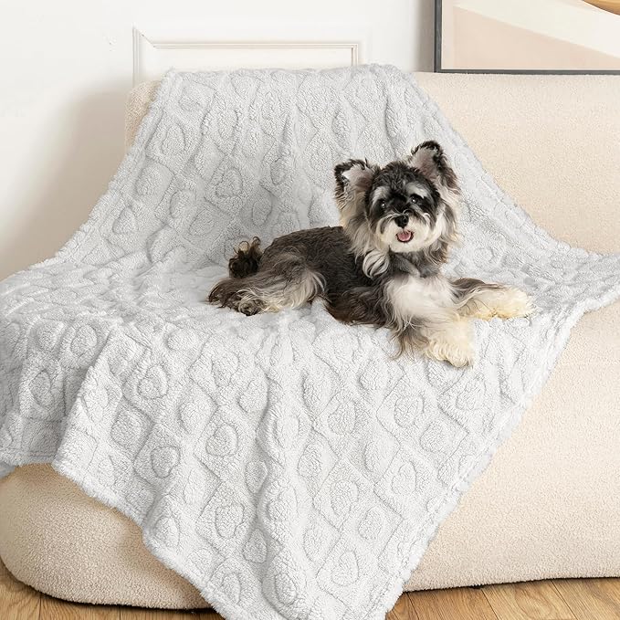 gogobunny Calming Plush Dog Cat Blanket 300GSM Coral Fleece, Ultra-Soft Machine Washable Pet Bedding for Small Medium Dogs Cats Puppies Kittens (Silver, 40x50)