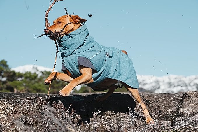 Hurtta Expedition Parka, Winter Dog Coat, BlackBerry, 18 in
