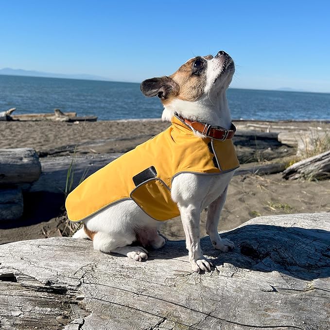 JAN & JUL Dog Rain Jacket (Yellow, Size: XL)