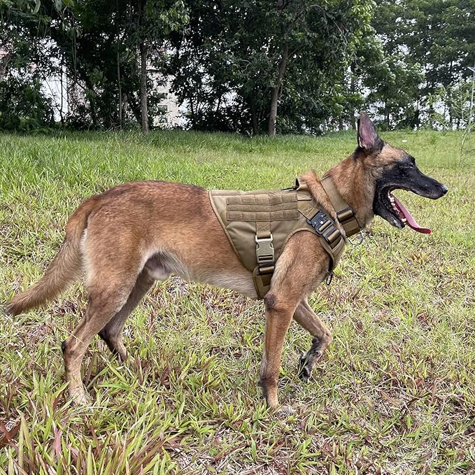 ICEFANG Tactical Dog Harness,X-Large Size, 2X Metal Buckle,Working Dog MOLLE Vest with Handle,No Pulling Front Leash Clip,Hook and Loop Panel
