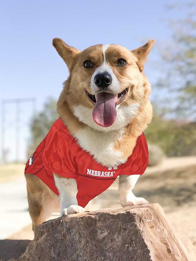 Pets First NCAA College Nebraska Cornhuskers Mesh Jersey for DOGS & CATS, Large. Licensed Dog Jersey with your Favorite Football/Basketball College Team