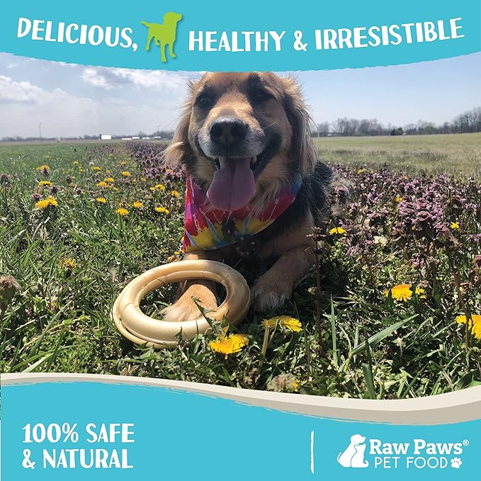 Raw Paws 6-inch Compressed Rawhide Rings for Dogs, 10-Count - Packed in The USA - Rawhide Rings - Digestible Rawhide Donuts - Natural Hide Dogs Chews - Natural Puppy Teething Rings