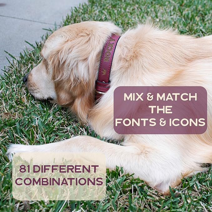 Personalized Leather Dog Collar | 3 Adjustable Sizes - 9 Icons with Your Pet's Name | Medium - Teal | - Safe&Secure Pet Collars with ID, Custom Text for Dogs and Puppy - Small Medium Large Puppies