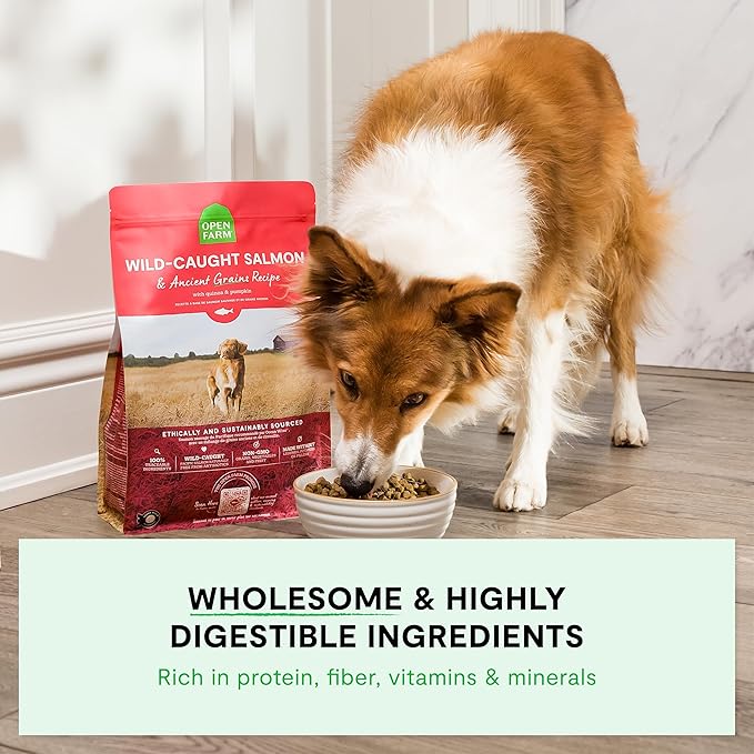 Open Farm, Ancient Grains Dry Dog Food, Protein-Rich & Nutrient Dense, 90% Animal Protein Mixed with Non-GMO Fruits, Veggies and Superfoods, Grass-Fed Beef Recipe, 22lb Bag
