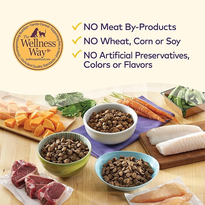 Wellness Natural Pet Food Complete Health Natural Grain Free Dry Dog Food, Chicken, 24-Pound Bag